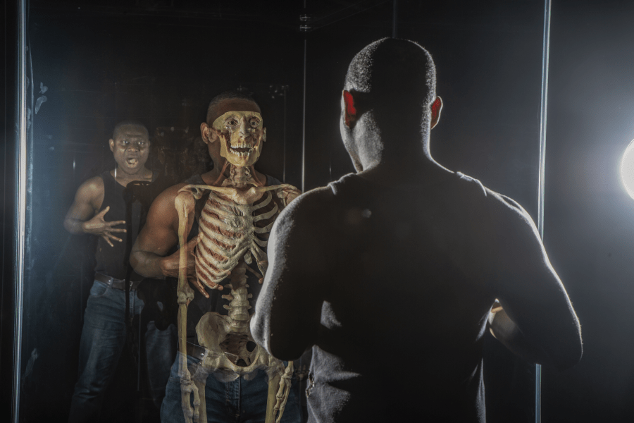 Body Worlds - Interactive Displays