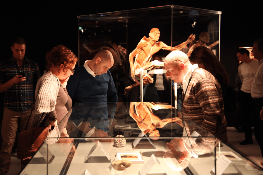 Body Worlds - The Anatomy of Happiness