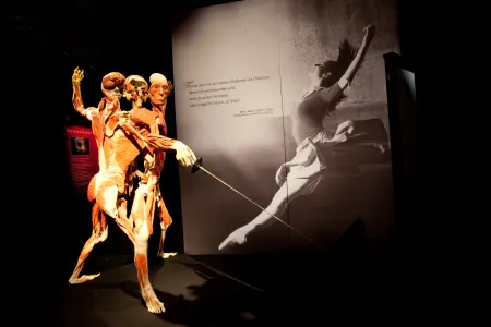 Body Worlds - Instafeed
