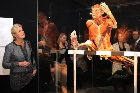 Body Worlds - Instafeed