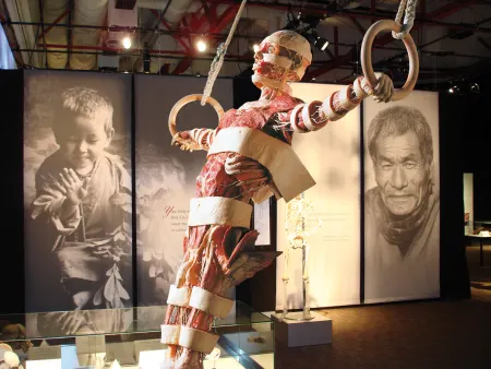 Body Worlds - Instafeed