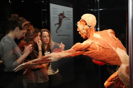 Body Worlds - Instafeed
