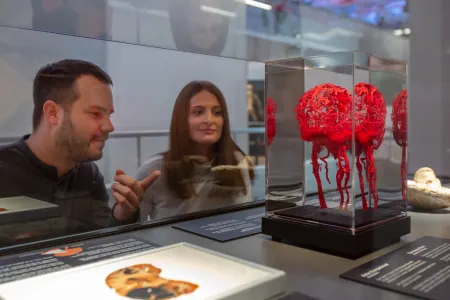 Body Worlds - Instafeed