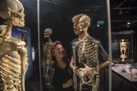 Body Worlds - Instafeed