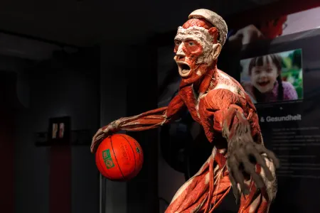 Body Worlds - Instafeed