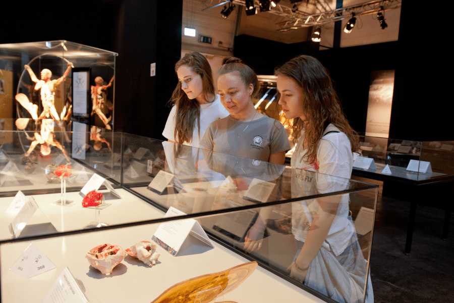 Body Worlds - Student Guide