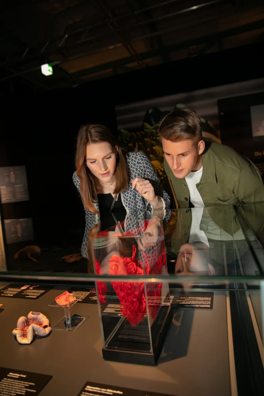 Body Worlds - Healthcare