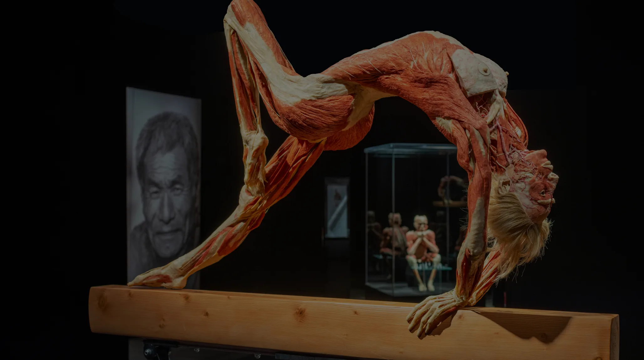 Body World - hero image