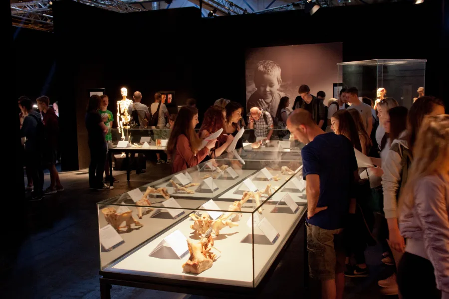 Body Worlds - Info image